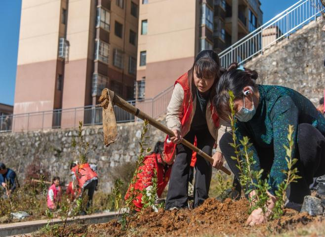 图片 4.png 图片 4.png