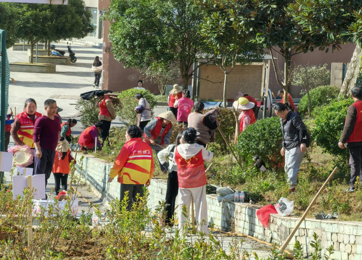 图片 5.png 图片 5.png