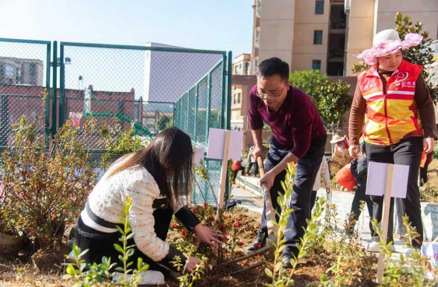 图片 7.png 图片 7.png