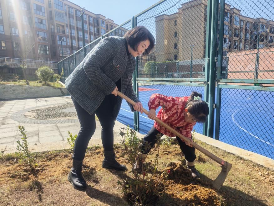 图片 8.png 图片 8.png