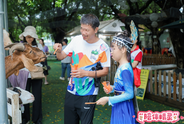 图片 19.png